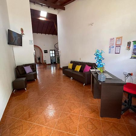 Hostel La Hormiga باريكارا المظهر الخارجي الصورة