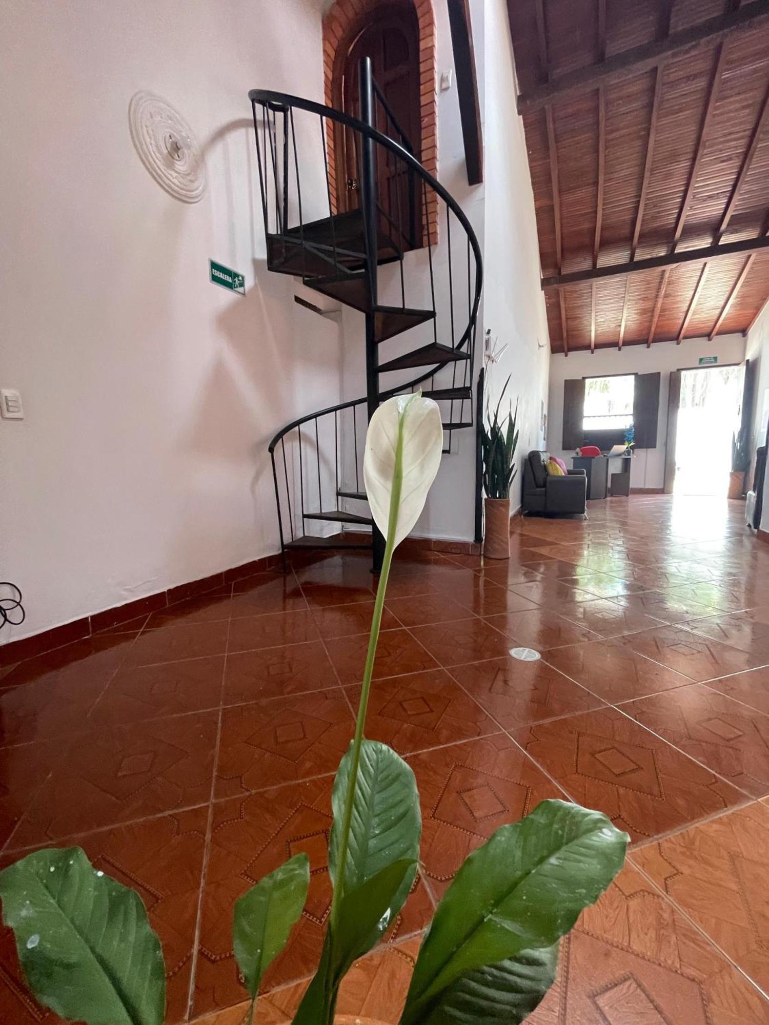 Hostel La Hormiga باريكارا المظهر الخارجي الصورة