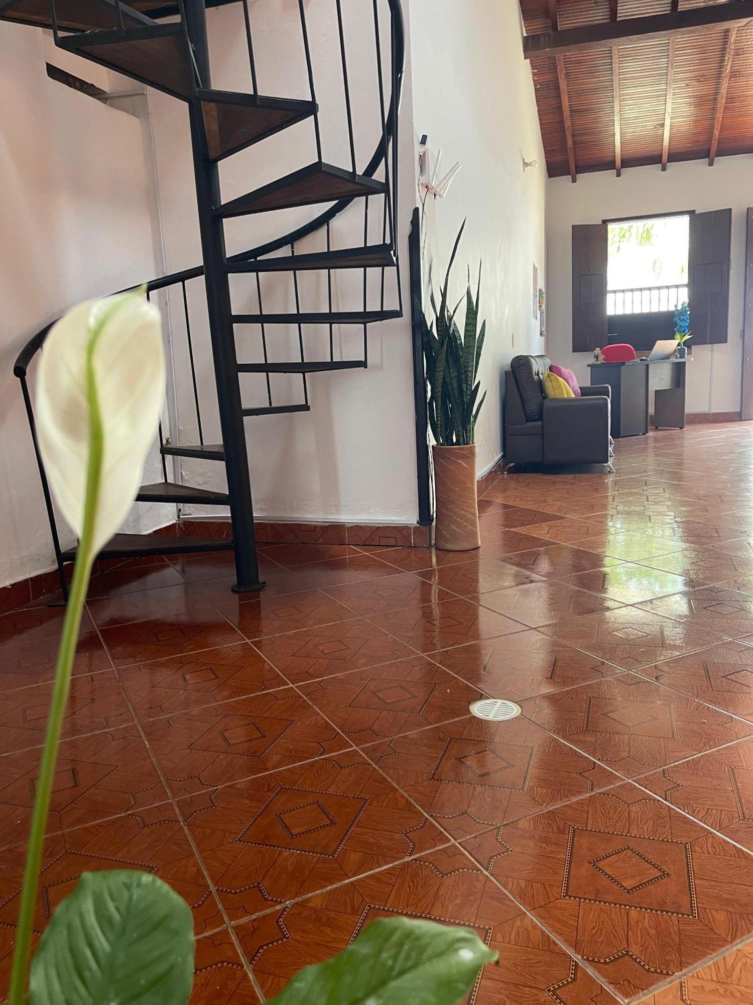 Hostel La Hormiga باريكارا المظهر الخارجي الصورة
